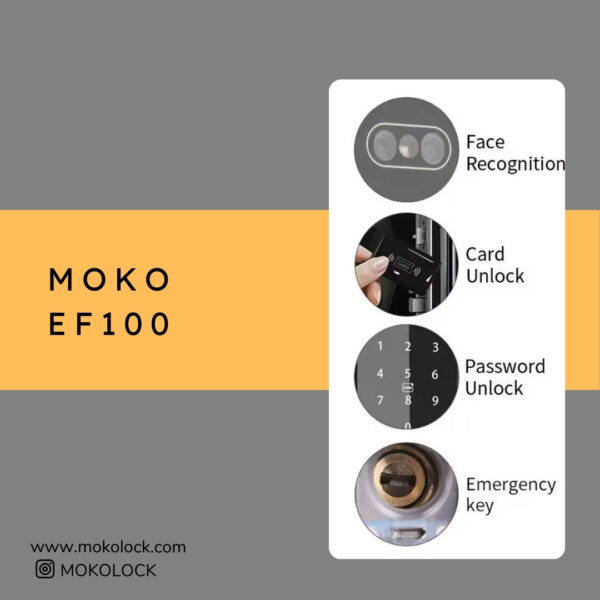 دستگیره و قفل هوشمند دیجیتال موکولاک MOKO EF100